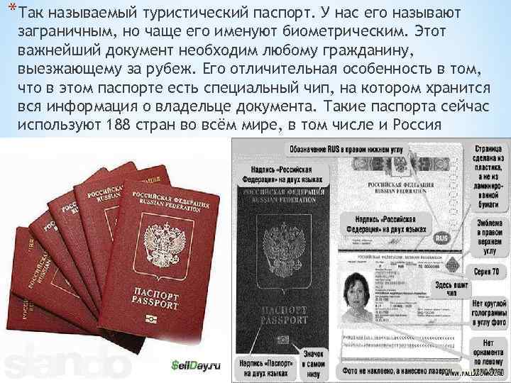 В какие страны можно ехать без загранпаспорта для россиян