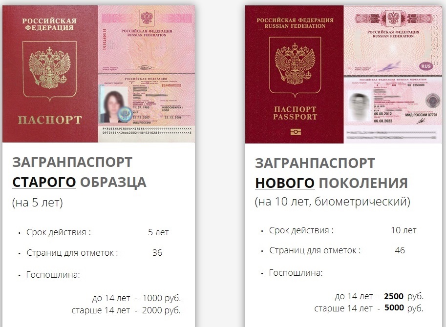 Получение паспорта рф после получения гражданства