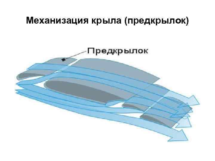 Конструкция самолета: основные элементы. проектирование и строительство самолетов :: syl.ru