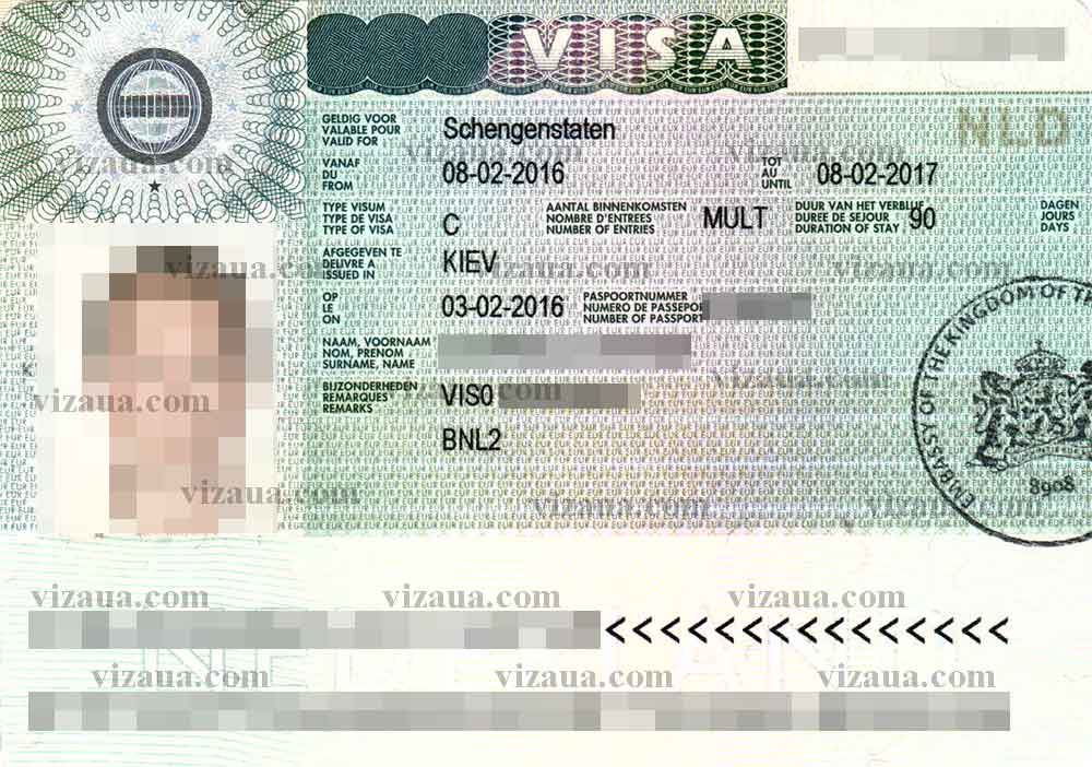 Получаем визу в нидерланды: список документов, заполнение анкеты, требования к фото