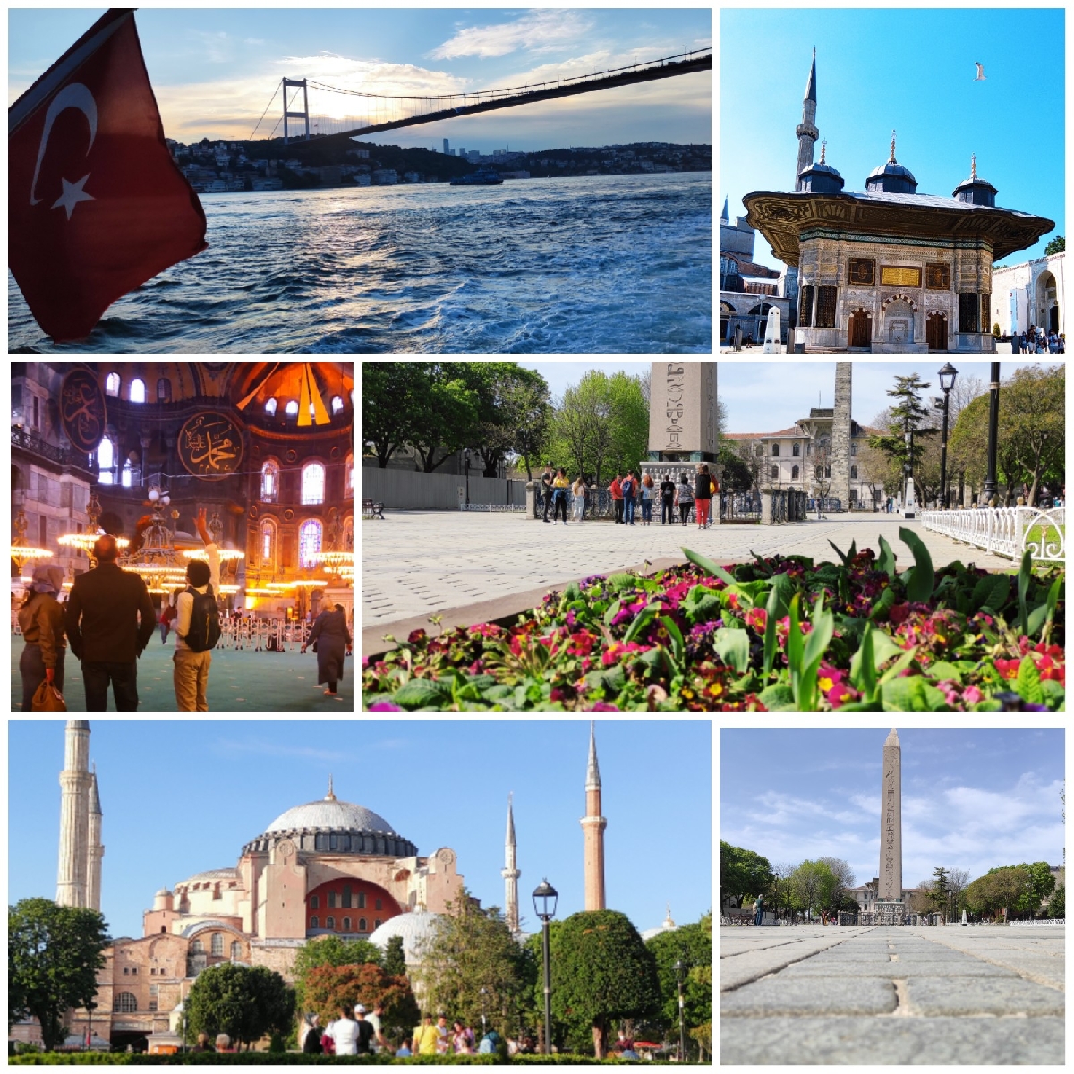 Экскурсии в стамбуле: полный перечень