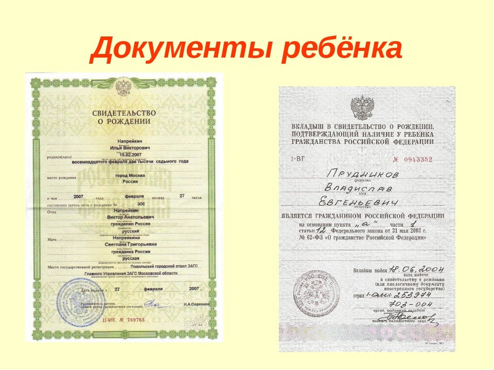 Как получить справку о гражданстве российской федерации в 2023 году