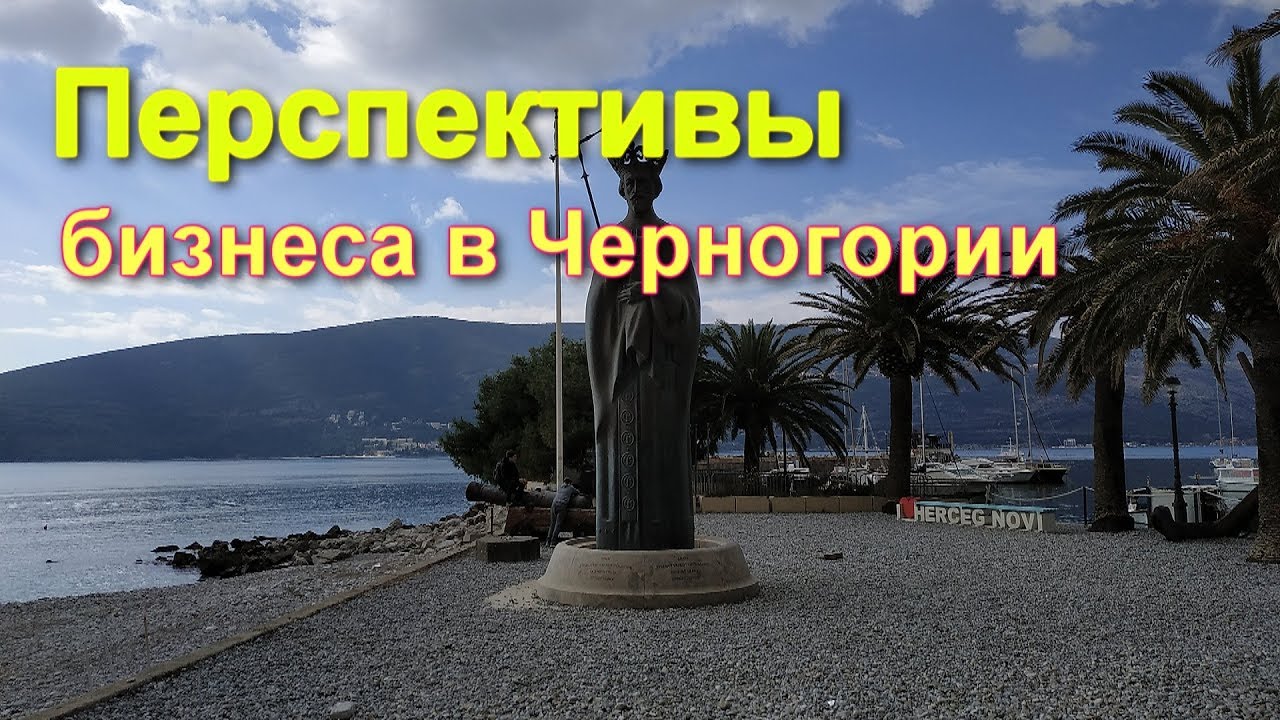 Какой бизнес можно открыть в черногории для русских: регистрация фирмы иностранцем | zagran expert