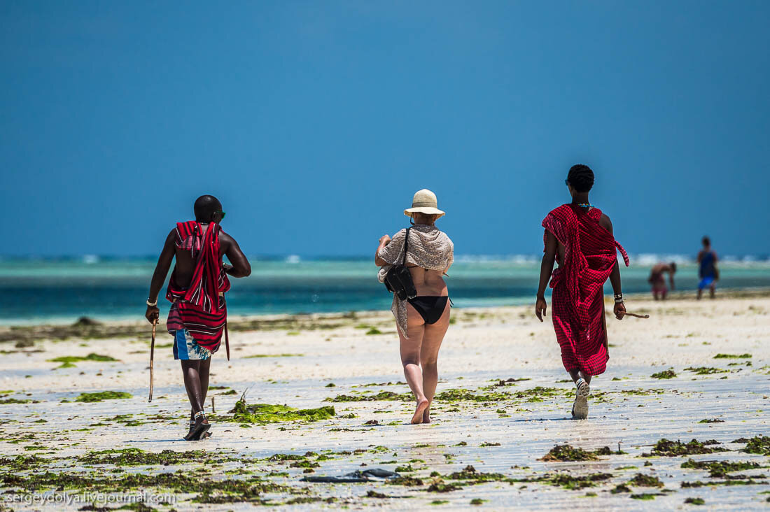 Остров занзибар (танзания) — отзывы туристов