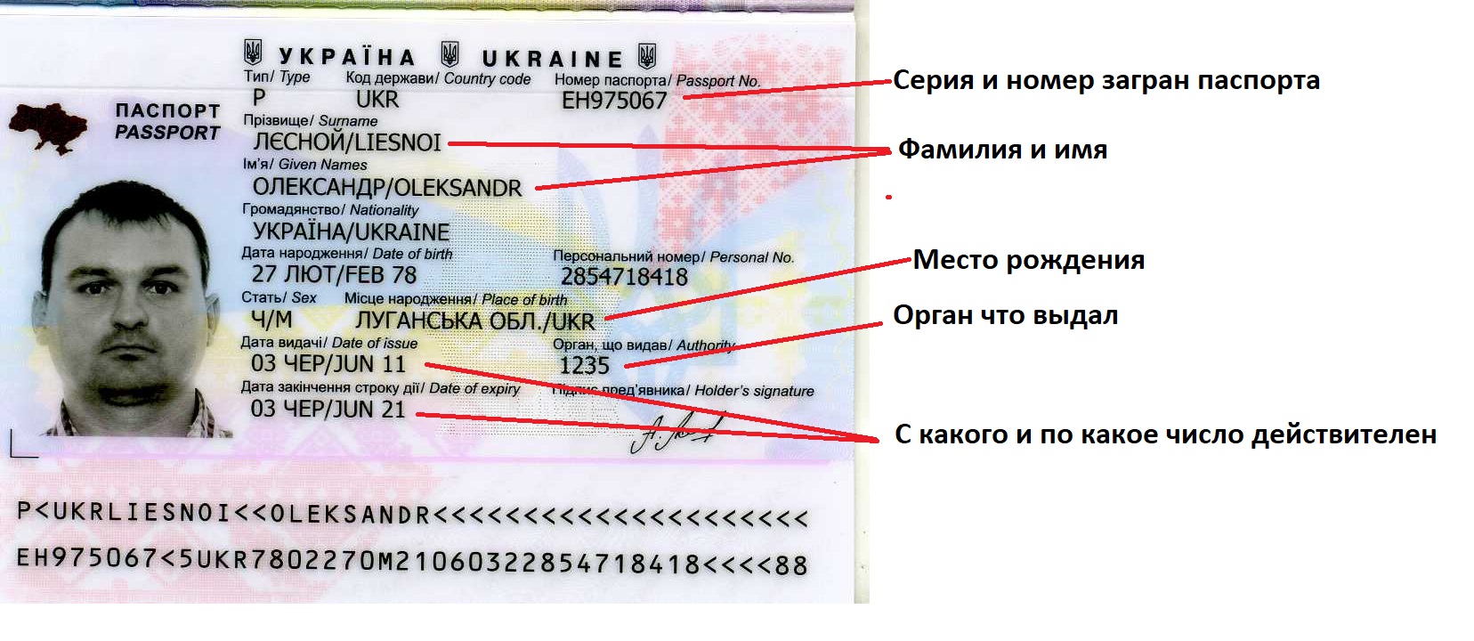 Что означают цифры в загранпаспорте под фотографией нового образца
