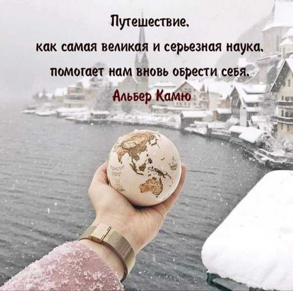 Приметы про чаек: к чему летает над водой или кладбищем, к какой погоде, значение для моряков