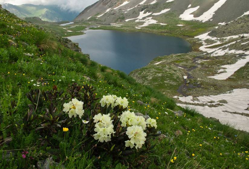 Весна в Архызе фото