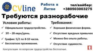 Работа в литве для белорусов - необходимые документы