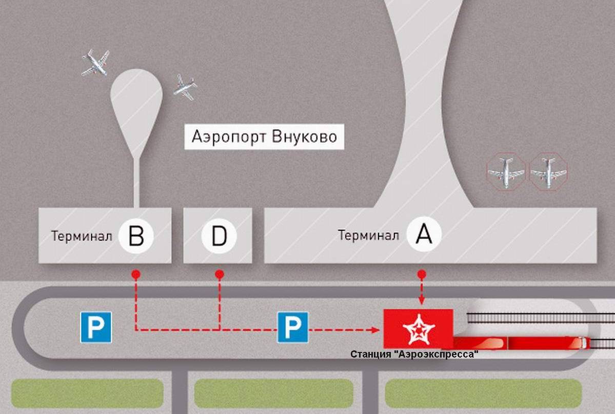 терминалы аэропорта домодедово