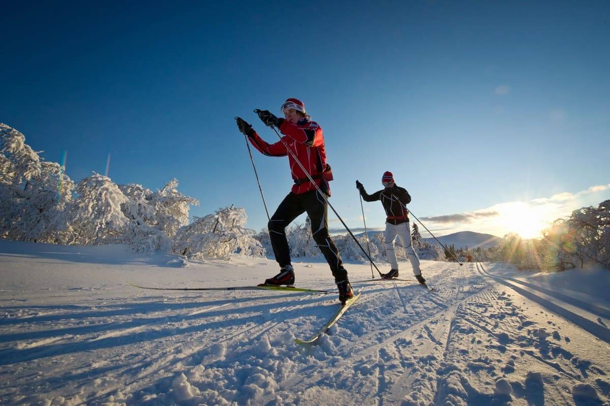 Где покататься на беговых лыжах в москве и подмосковье