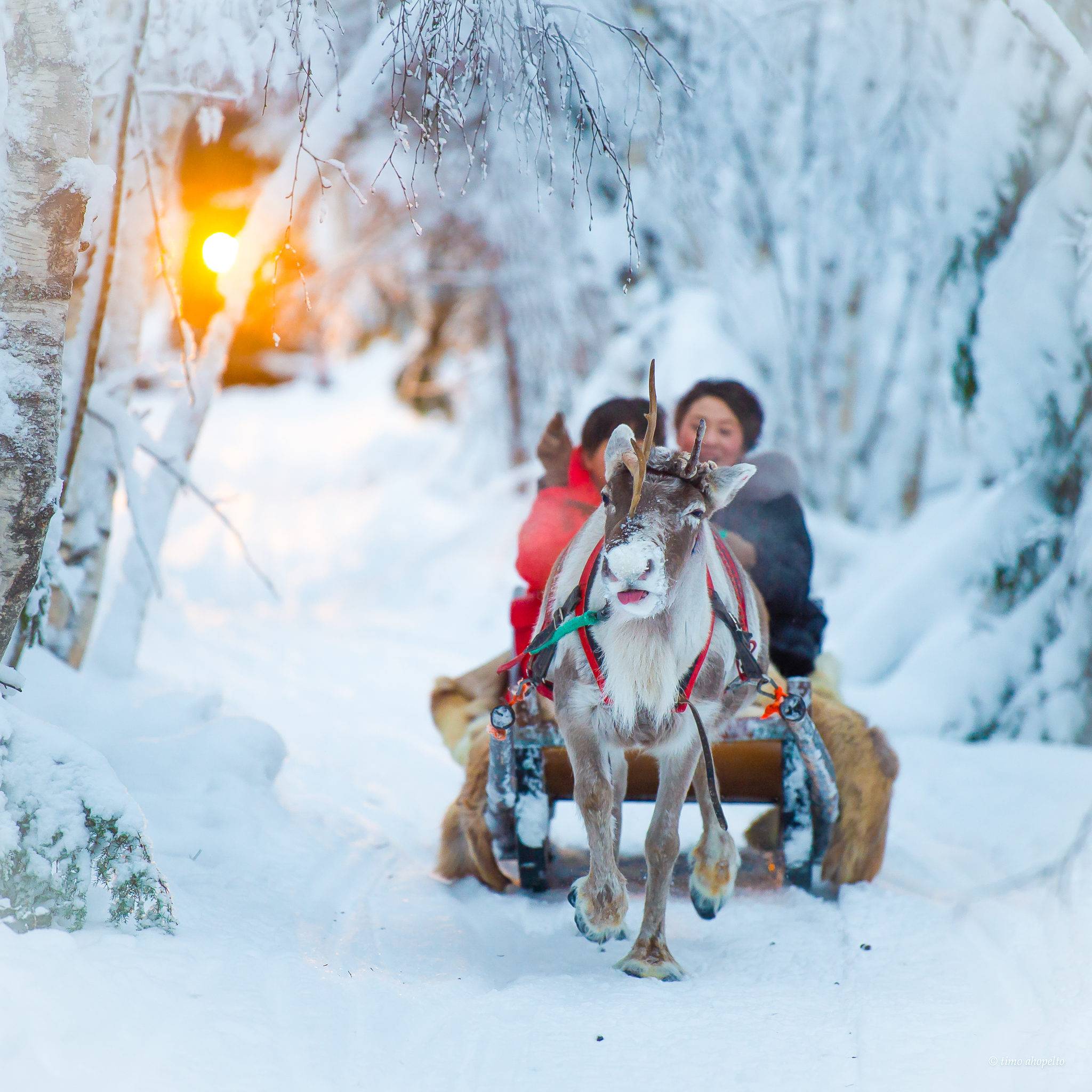 Куда поехать с ребенком в феврале. Новогодние каникулы в Финляндии. Зимние новогодние каникулы 2014. Куда поехать на новогодние каникулы. Куда съездить на новый год с семьей.