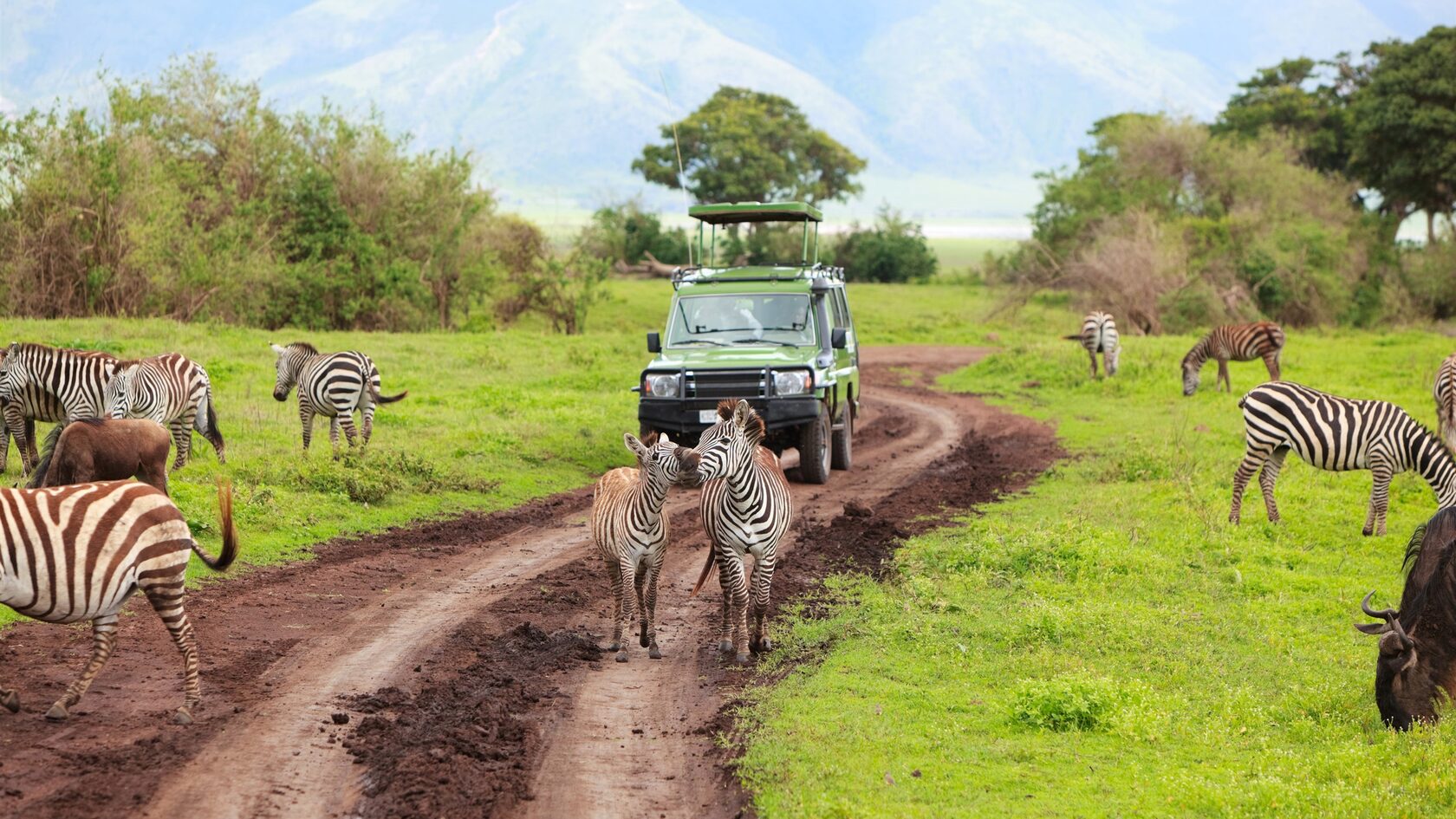 Сафари 7 дней в танзании - самые известные парки и озёра в африке
