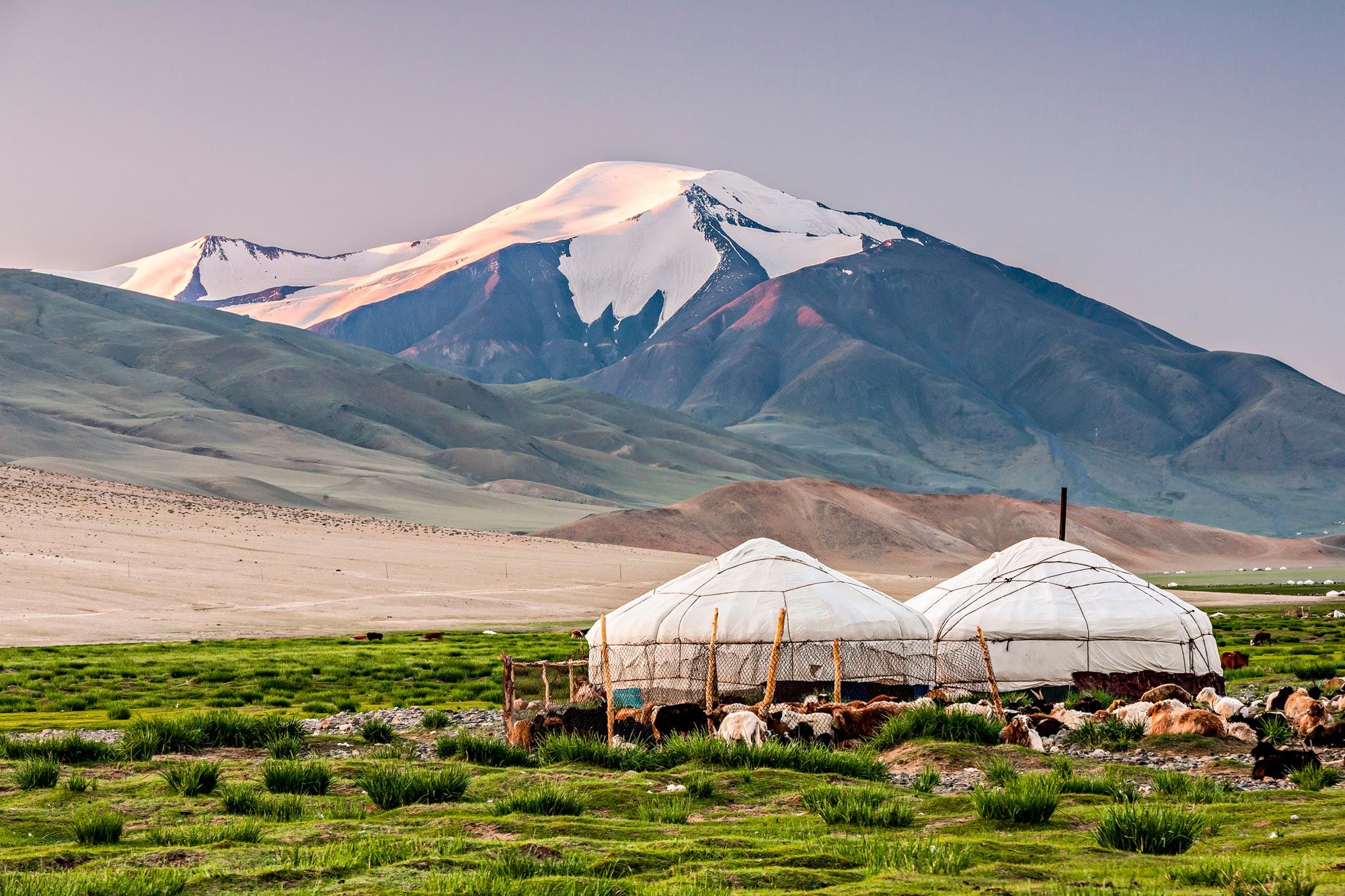 Монголия самое главное. Монголия степь юрта. Казахстан степи юрта. Улан Батор юрта. Улан Батор природа.