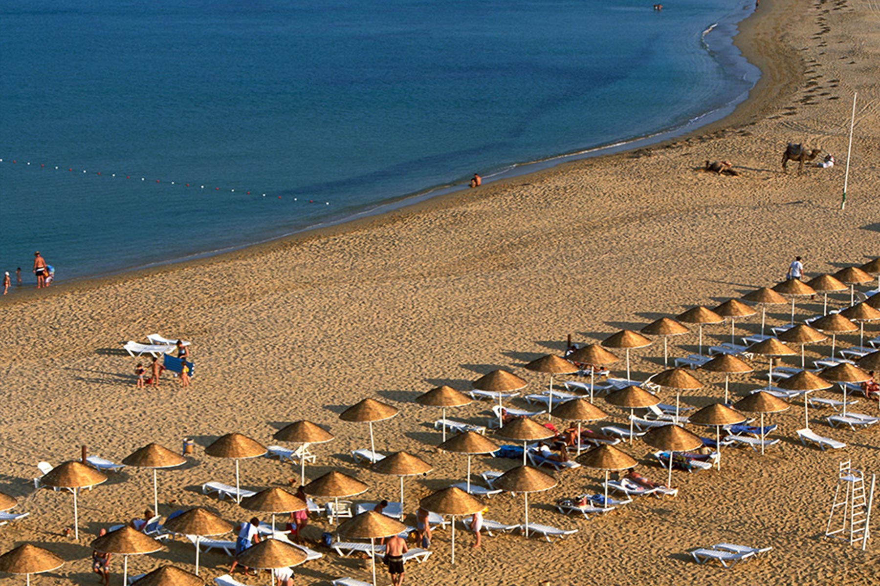 Пляжный отдых в марокко: на море или к океану. курорты на побережье – tripmydream