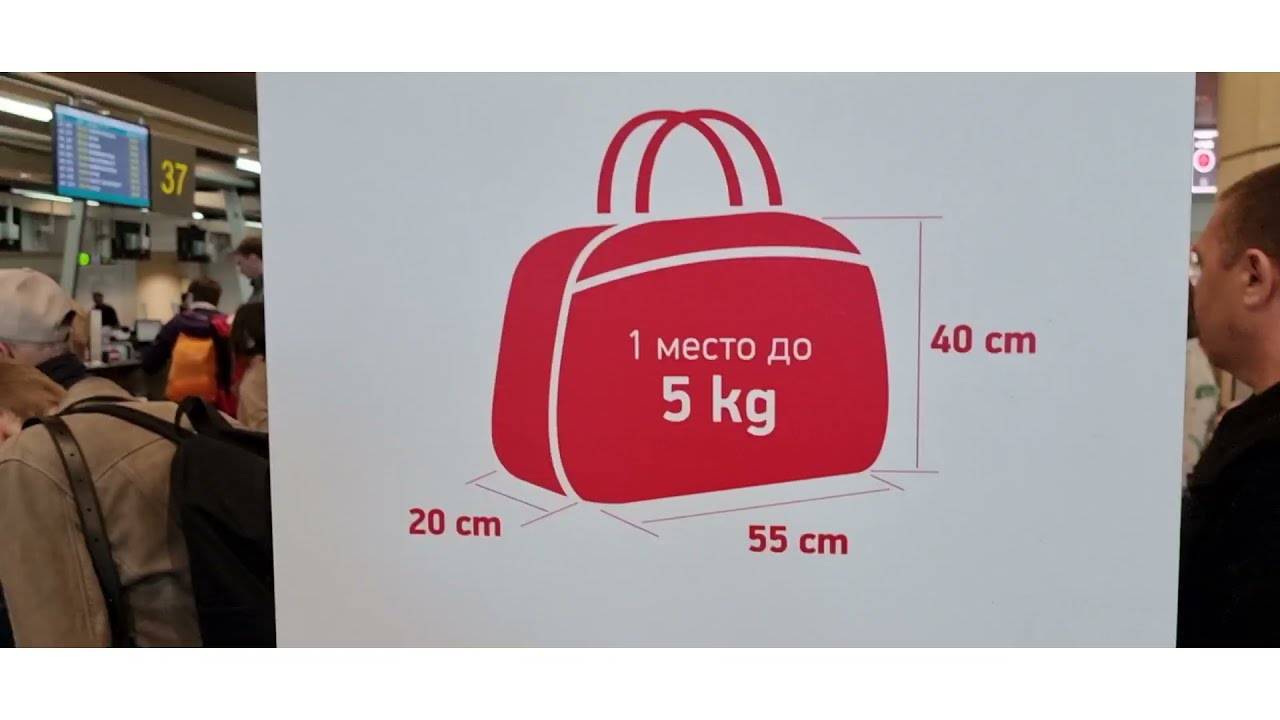 Перевозка багажа и ручной клади на самолётах авиа компании red wings