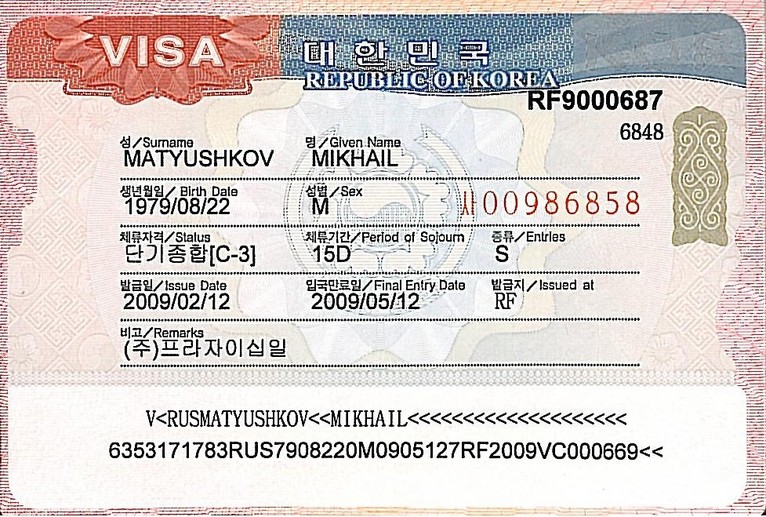 Виза в южную корею 2022: актуальные условия въезда для россиян, документы, длительный визит