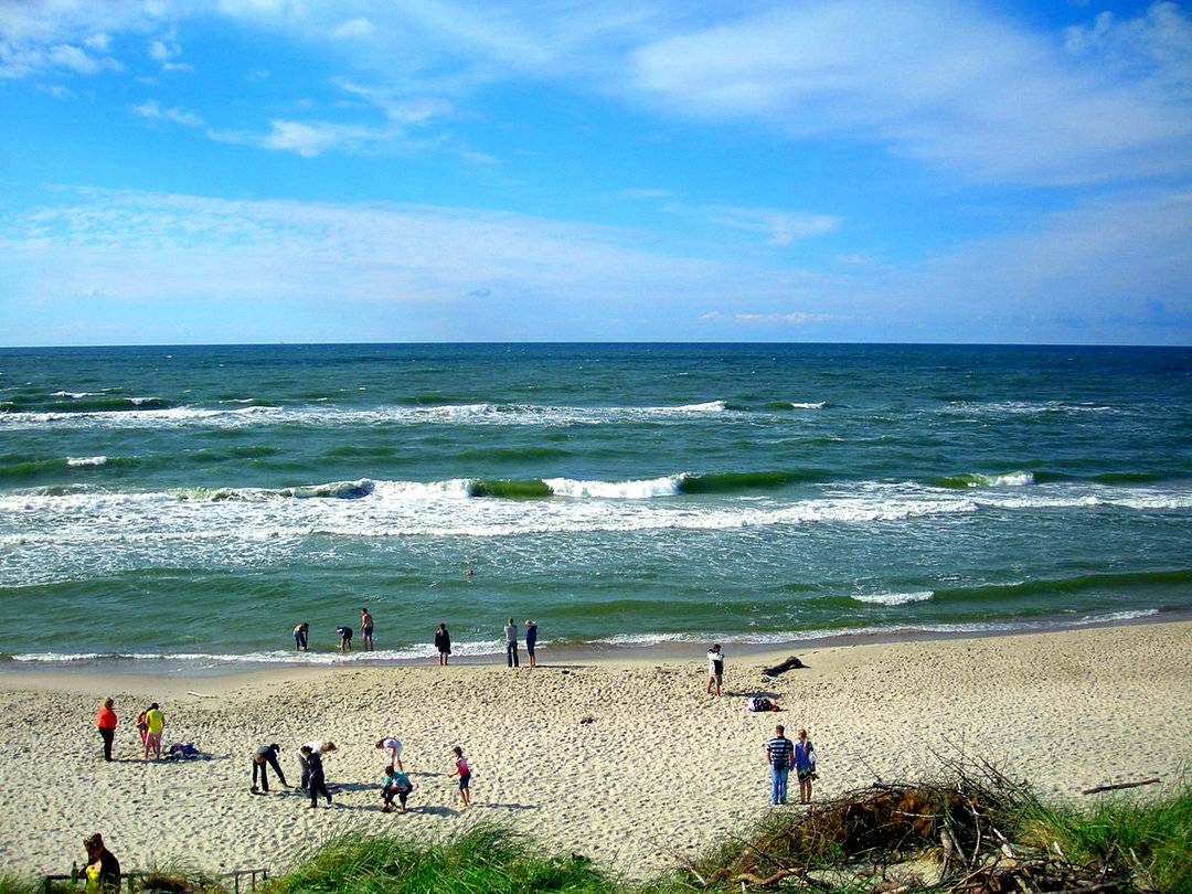 «калининград vs. крым»: на каком побережье дешевле отдохнуть этим летом