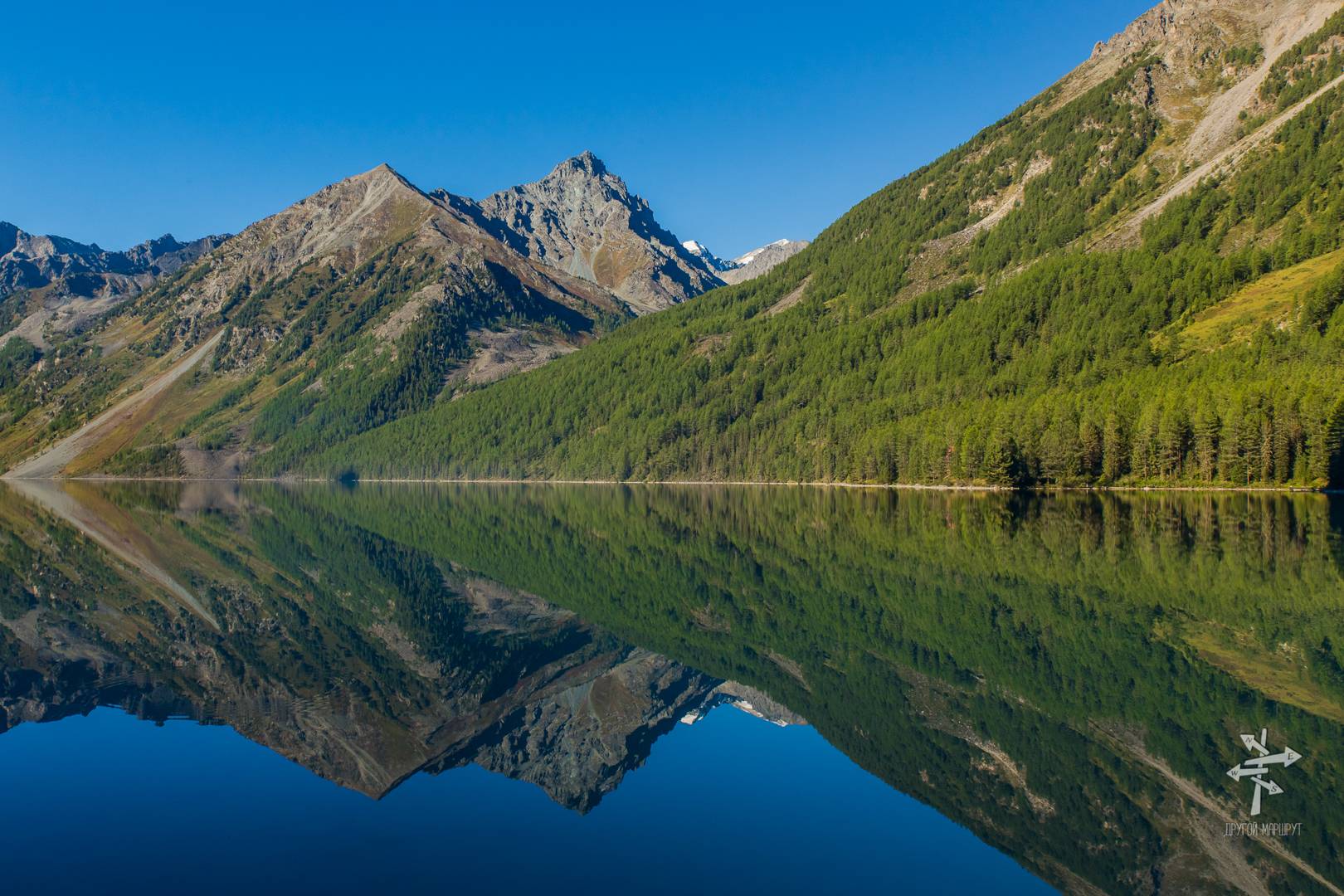 золотые горы алтая фото