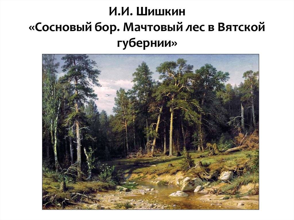 Храм неопалимая купина в сосновом бору: расписание богослужений, как добраться, адрес, история собора, главные святыни, престольный день