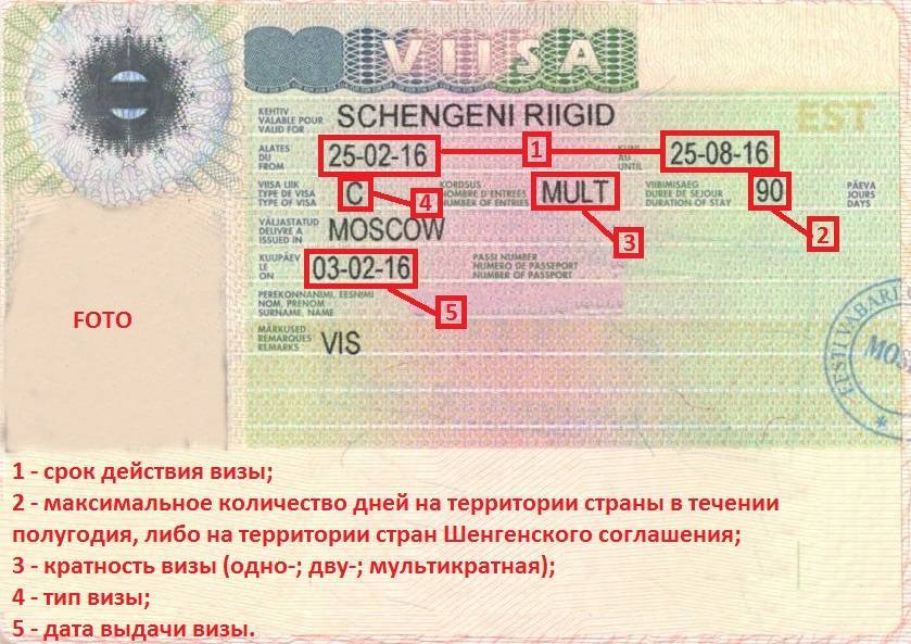 Как грамотно расшифровать отметки на шенгенской визе в 2019 году