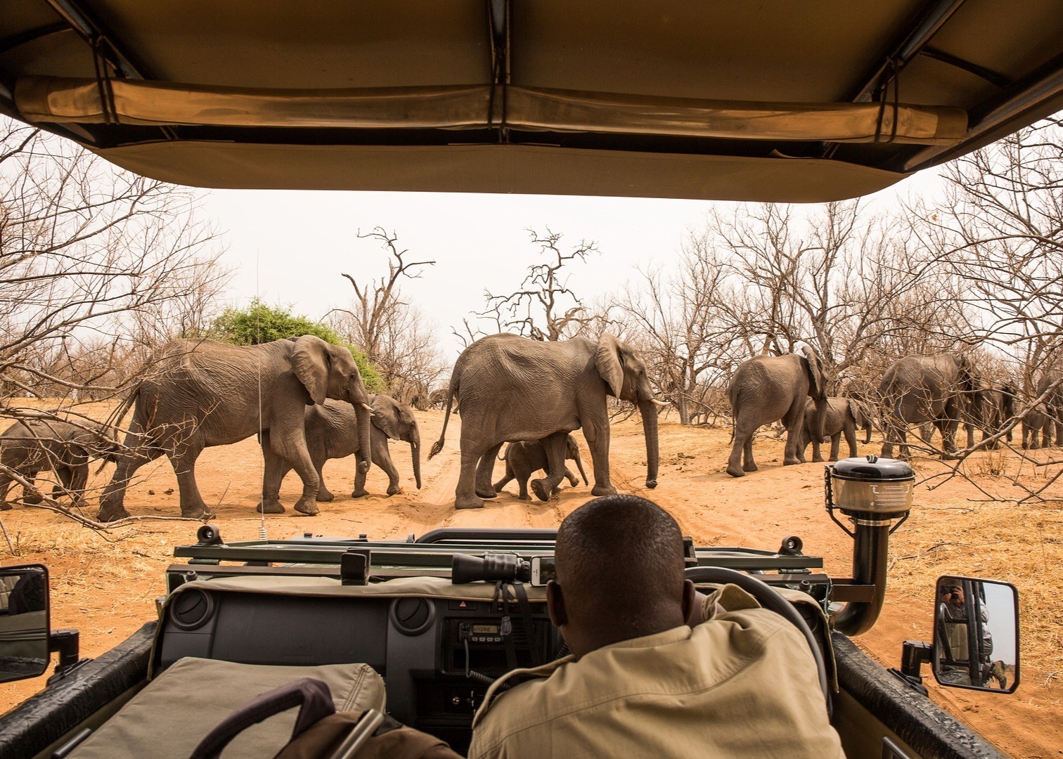 Национальные парки кении и сафари-туры в африке