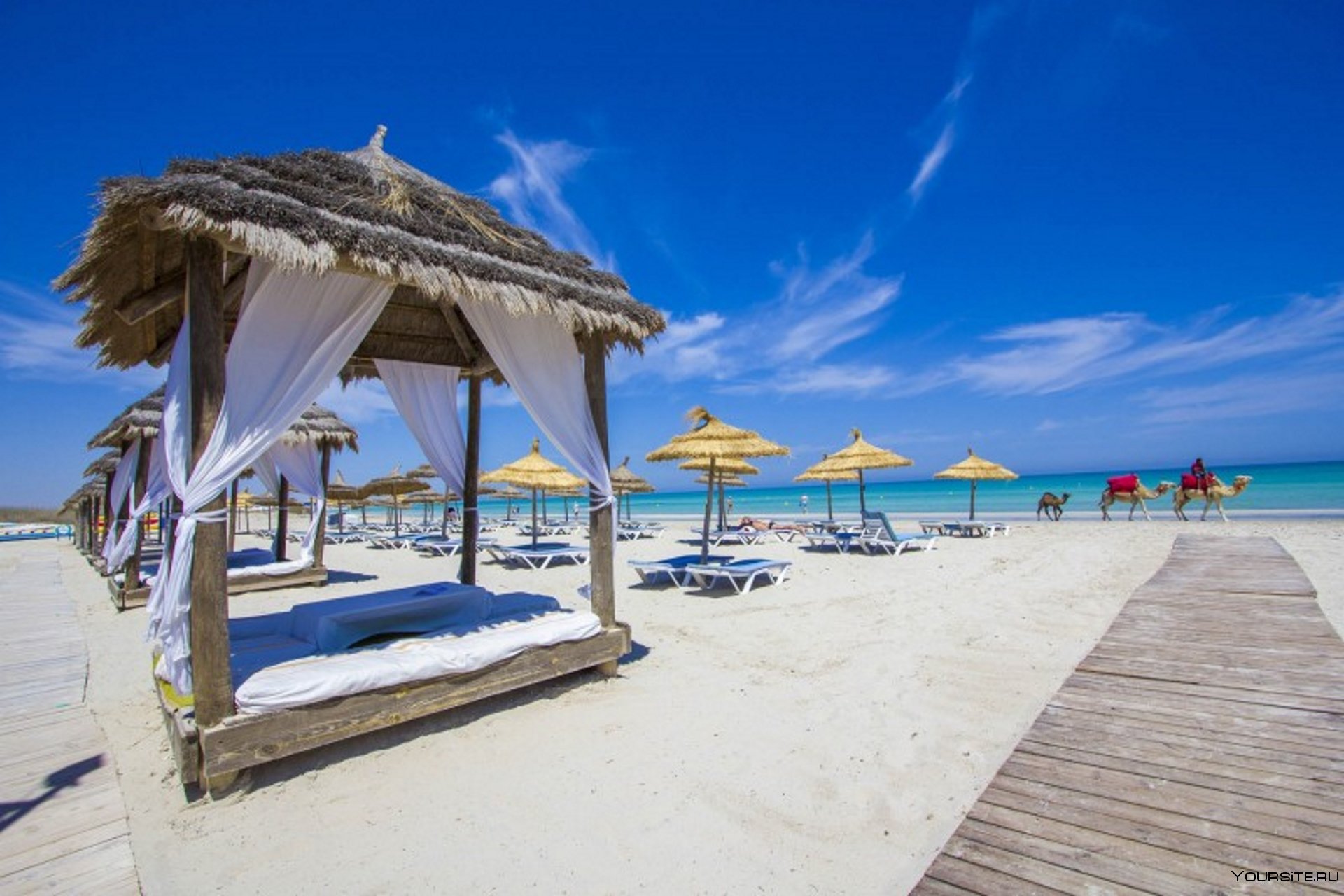 5 курортов: где лучше отдыхать в тунисе - 2022?