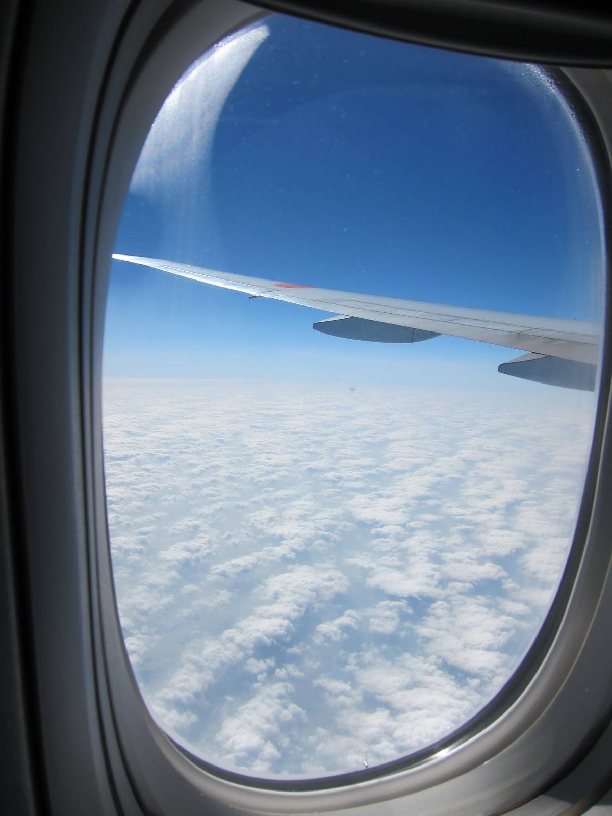 Как называется место у окна в самолете? - лучшие ответы на вопросы