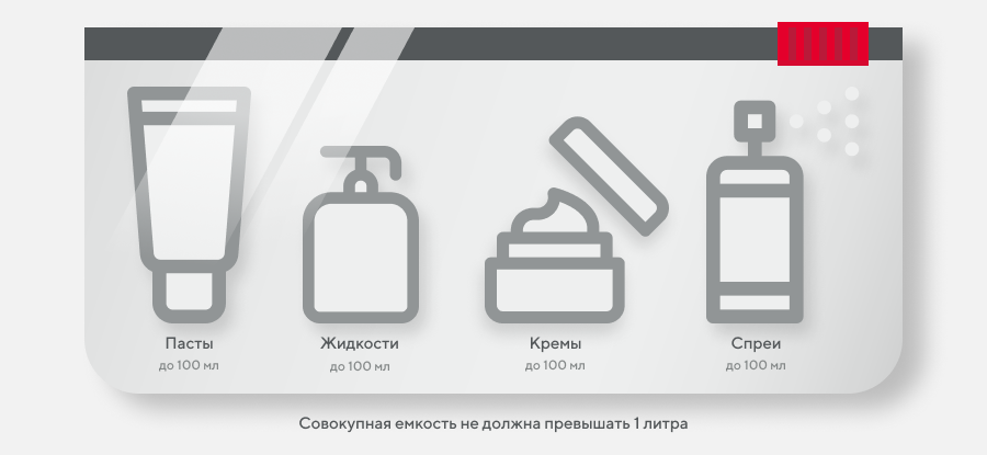 Ред вингс провоз багажа. Ред Вингс ручная кладь габариты 2021. Емкости для ручной клади. Нормы ручной клади Вингс. Ред Вингс провоз жидкости в ручной клади.