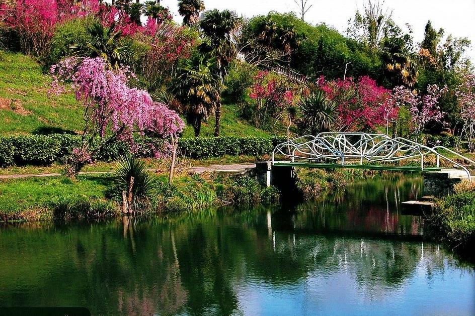 Парк южные культуры в адлере – как добраться, официальный сайт, фото, цена билета