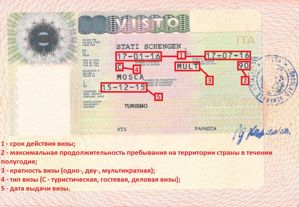 Стоимость шенгенской визы для россиян
