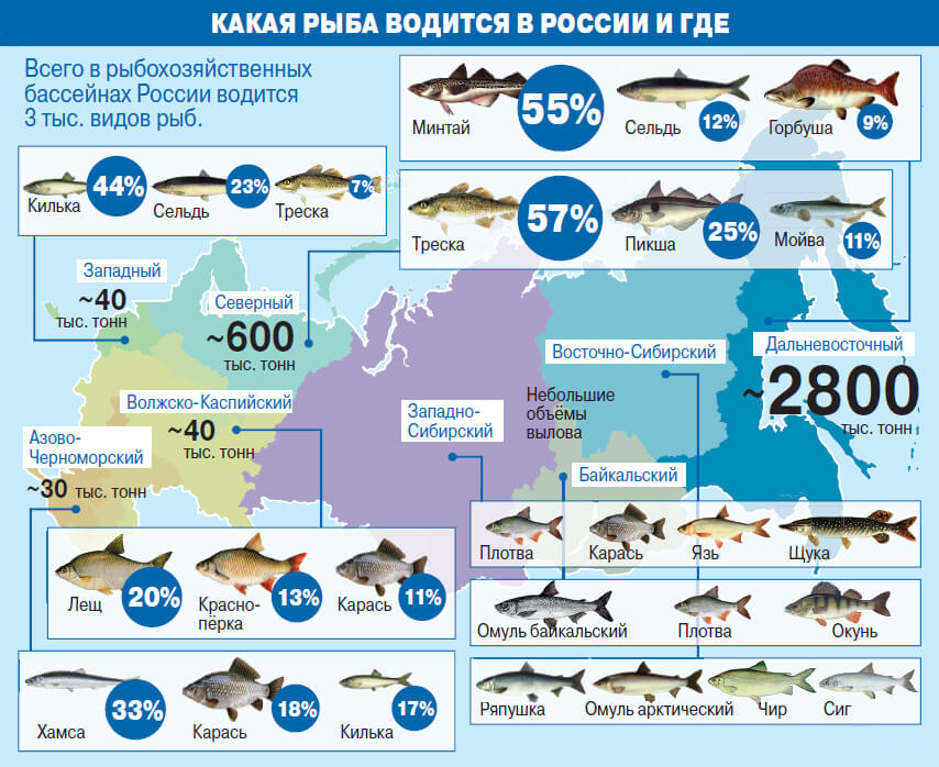 Правила рыбалки в германии - ukrainian in germany