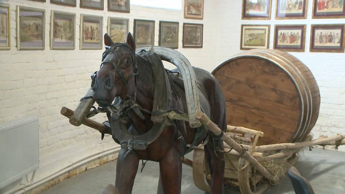 Владимирская порода лошадей: фото и видео, характеристики, происхождение, история и описание