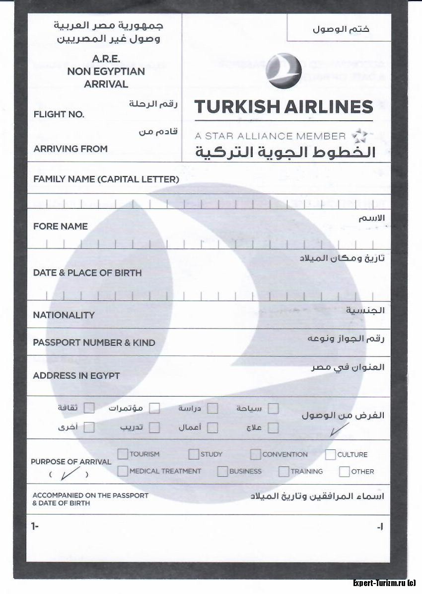Виза в египет для россиян в 2022 году: получить в аэропорту или можно без визы?