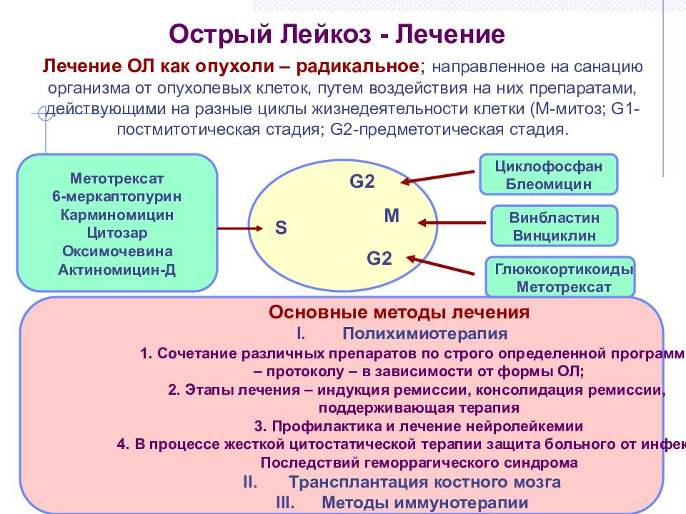 Острый лейкоз презентация по терапии