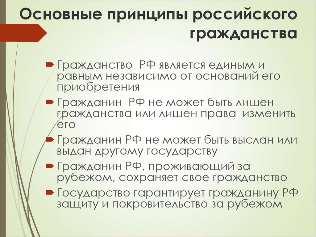 11 главных принципов российского гражданства