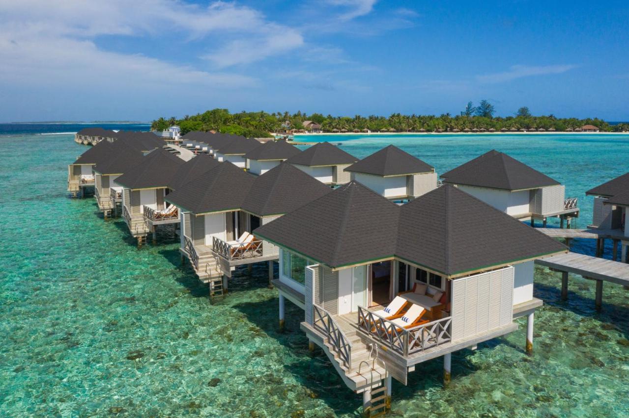 Мальдивы даром: как съездить бюджетно на райские острова (отзыв туриста)