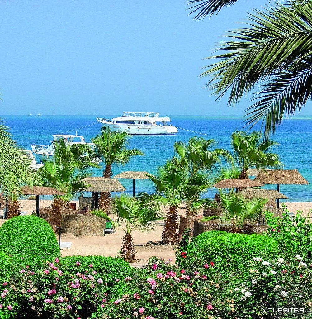 Сафага – о египетском курорте, отдых, пляжи и экскурсии