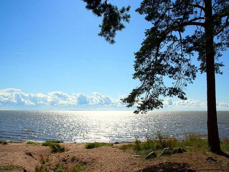 Хорошие места на финском заливе: советы от оператора