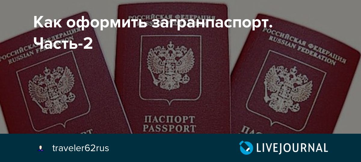 Что делать после получения гражданства россии в 2023 году — гражданство.online