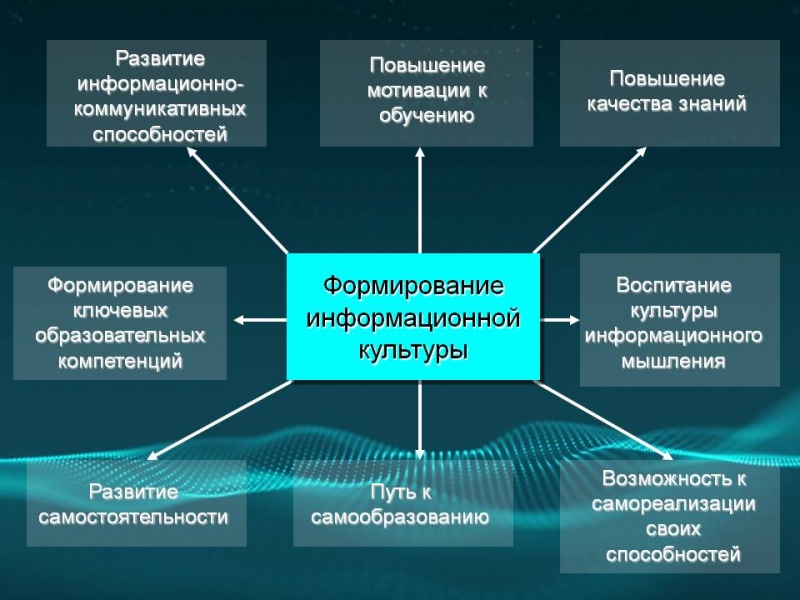 Образование в австрии. как отдать ребёнка в австрийскую школу и зачем это нужно - prian.ru
