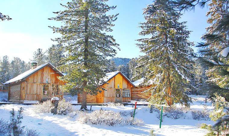 Отели подмосковья для отдыха с детьми: 10 загородных мест с развлечениями для всей семьи