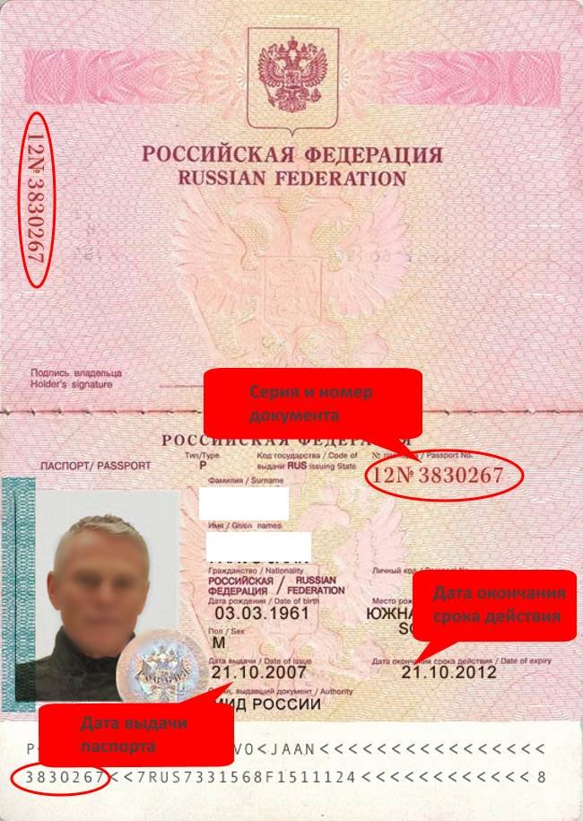 Где можно посмотреть информацию о серии и номере паспорта