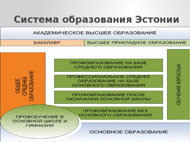 Система образования государства. Система образования в Эстонии. Образование в Эстонии кратко. Система высшего образования в Эстонии. Структура система образования в Эстонии.