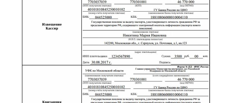 Госпошлина за замену паспорта: суммы и способы уплаты