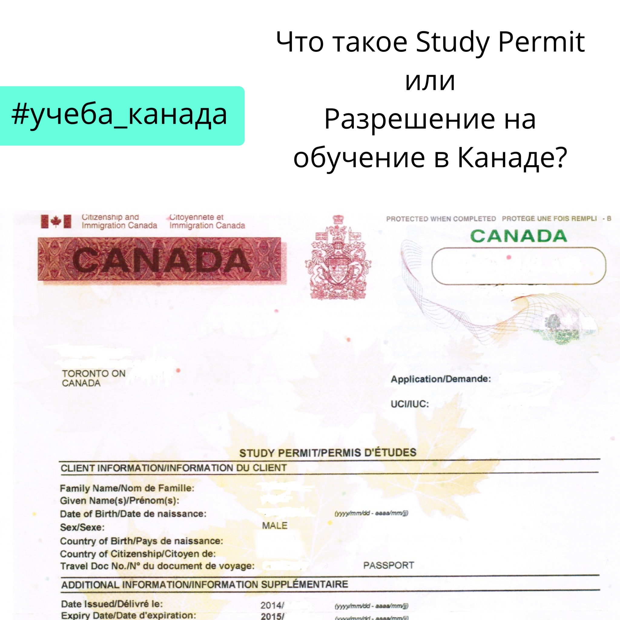 Учебная виза в канаду в 2020 году для россиян, список документов