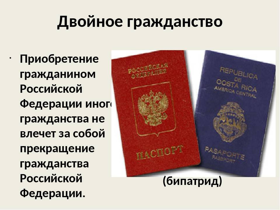 Как в 2022 россиянам получить паспорт доминиканской республики
