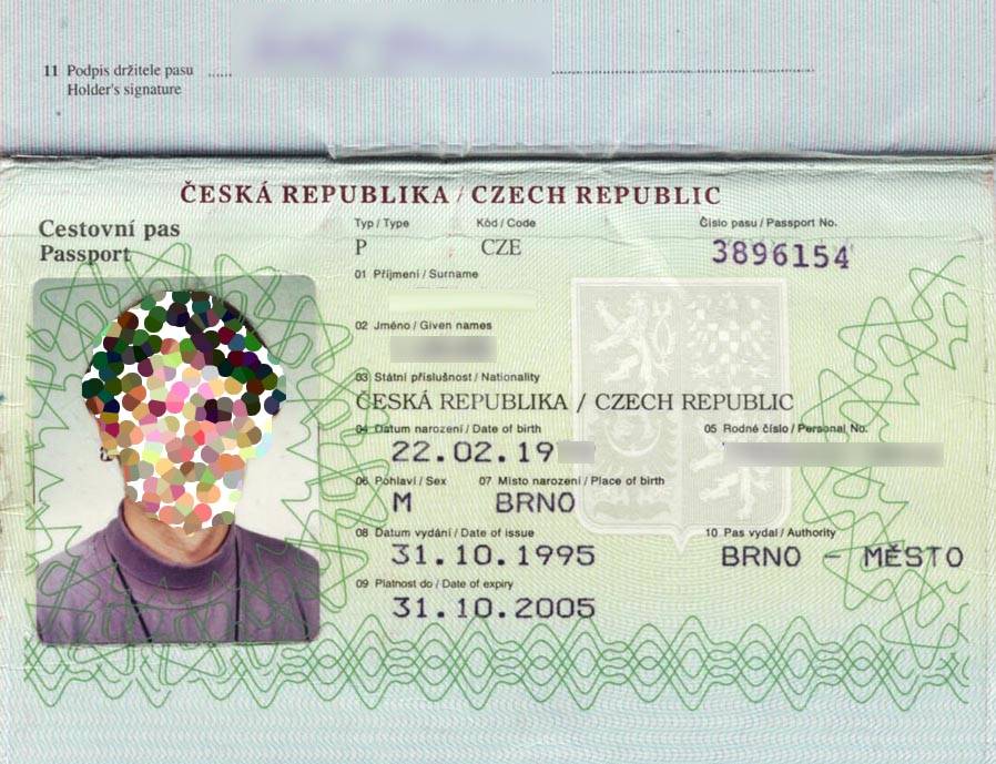 Способы получения гражданства чехии для россиян