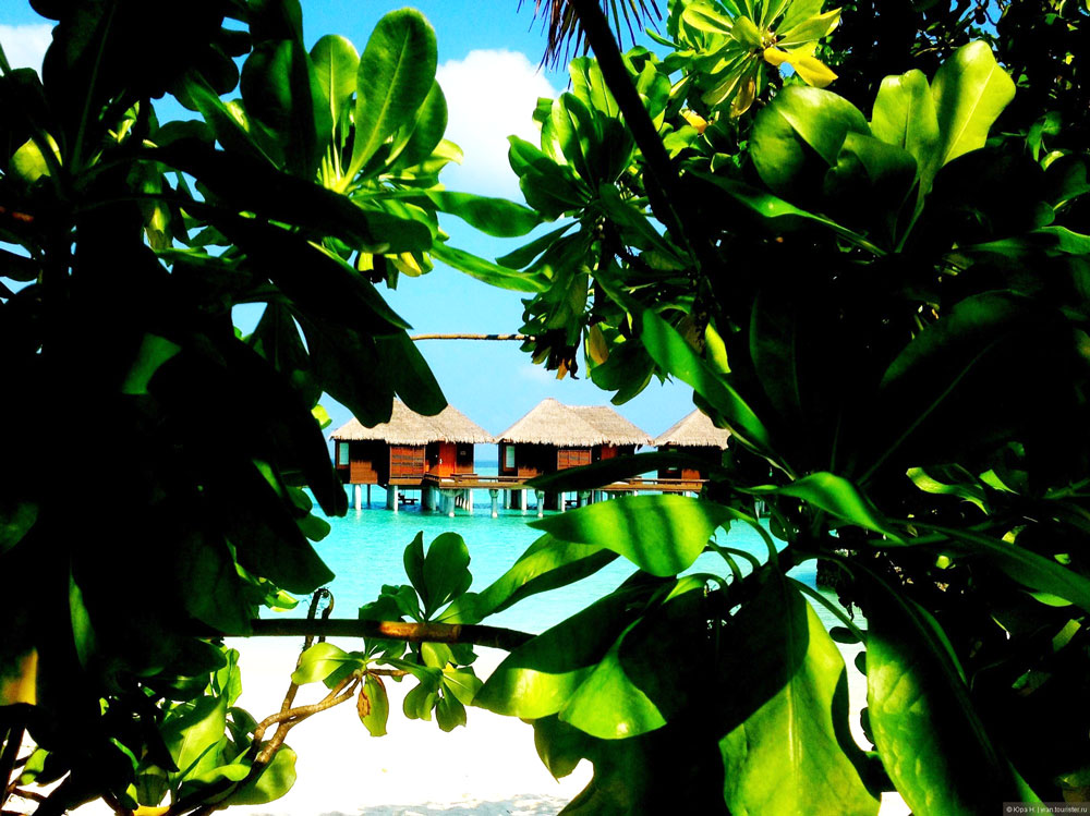 Мальдивы даром: как съездить бюджетно на райские острова (отзыв туриста) | tourdom.ru | дзен