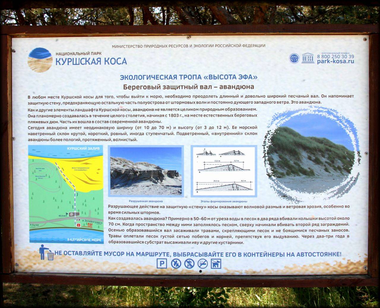 14 красочных достопримечательностей куршской косы: описание, фото, что посетить самостоятельно, где лучше побывать летом