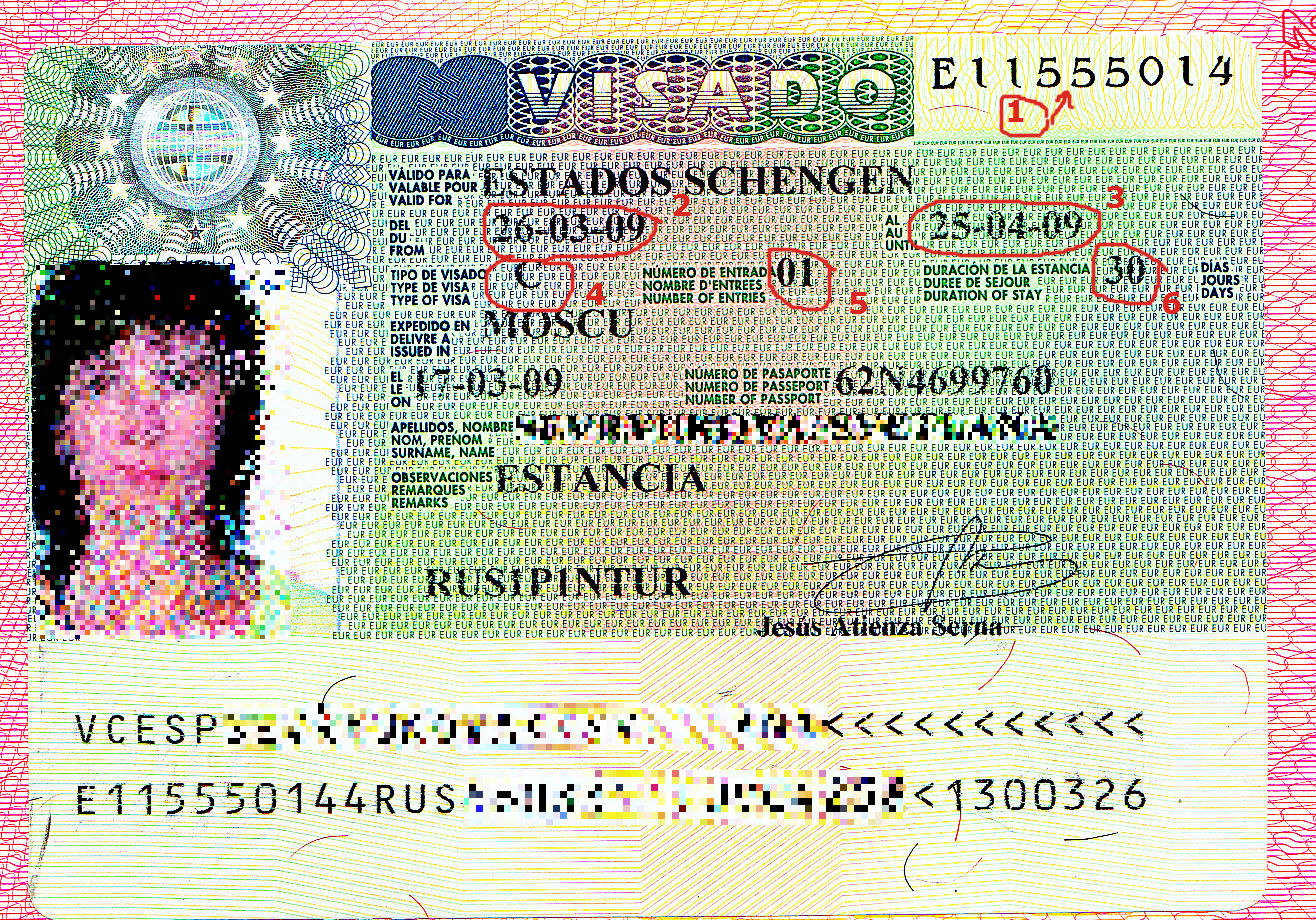 Как читать шенгенскую визу – расшифровка обозначений паспорта